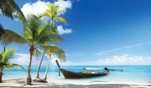 Beach with some palm trees and a boat