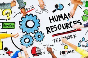 "Human resources" illustration