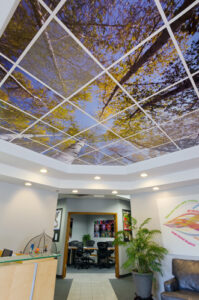 Ceiling Graphics