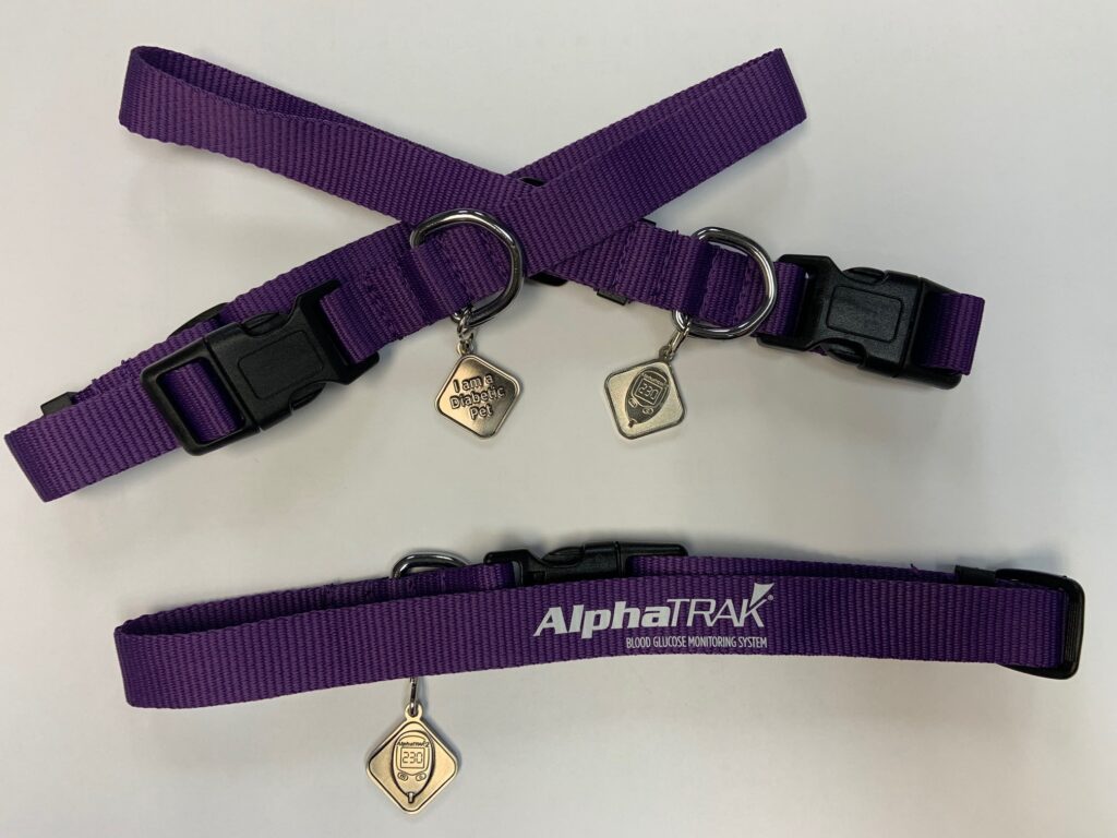 Alphatrak dog collar dog collar