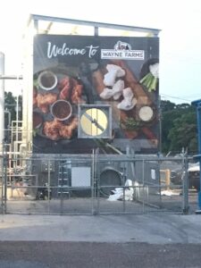 welcome to wayne farms