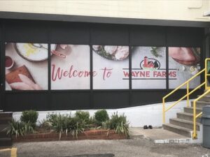 welcome to wayne farms