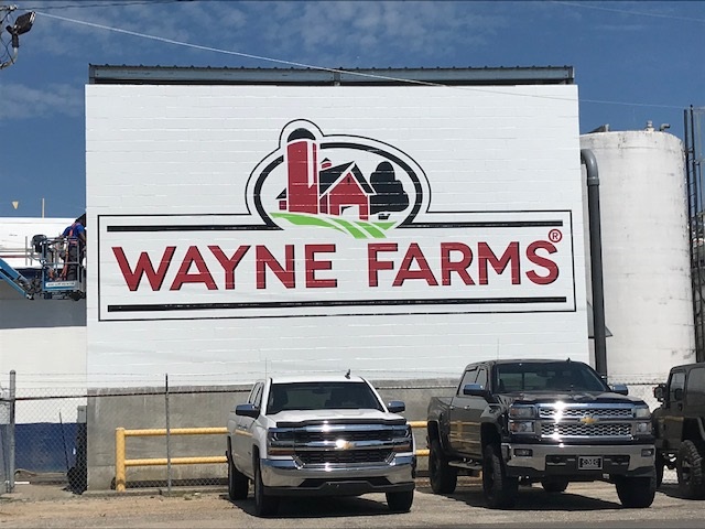 Wall Graphic for Wayne Farms
